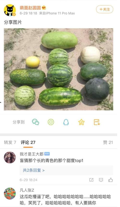 最新爆料新瓜,最新爆料新瓜，带你直击娱乐圈风云变幻